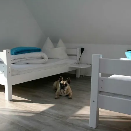 Ferienwohnung Dd Sonnenschein Og